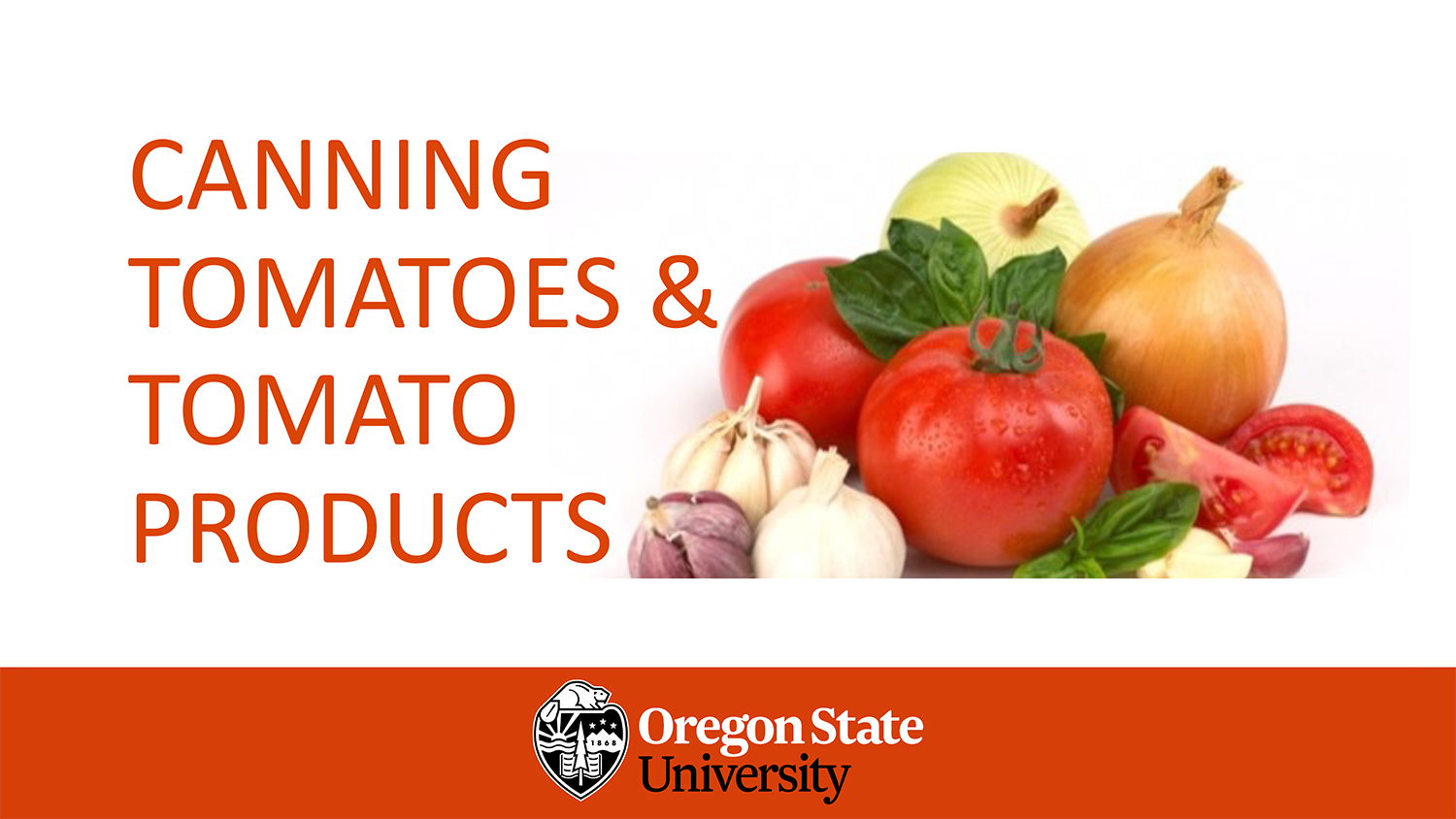 Tomatoes and garlic are sitting on a table.